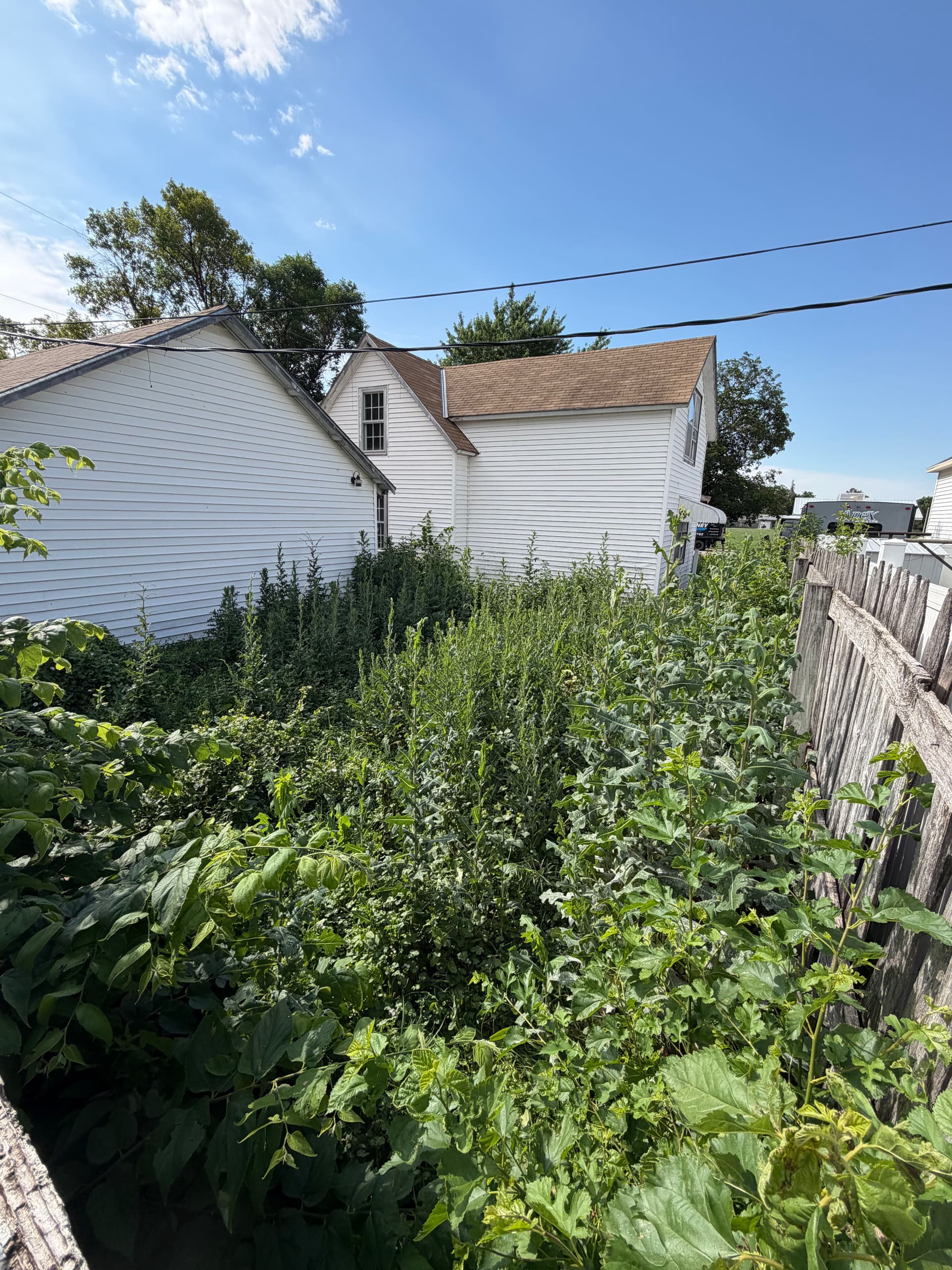 Gallery photos for Overgrown Yard and Garage Cleanout in Lexington: Image #1