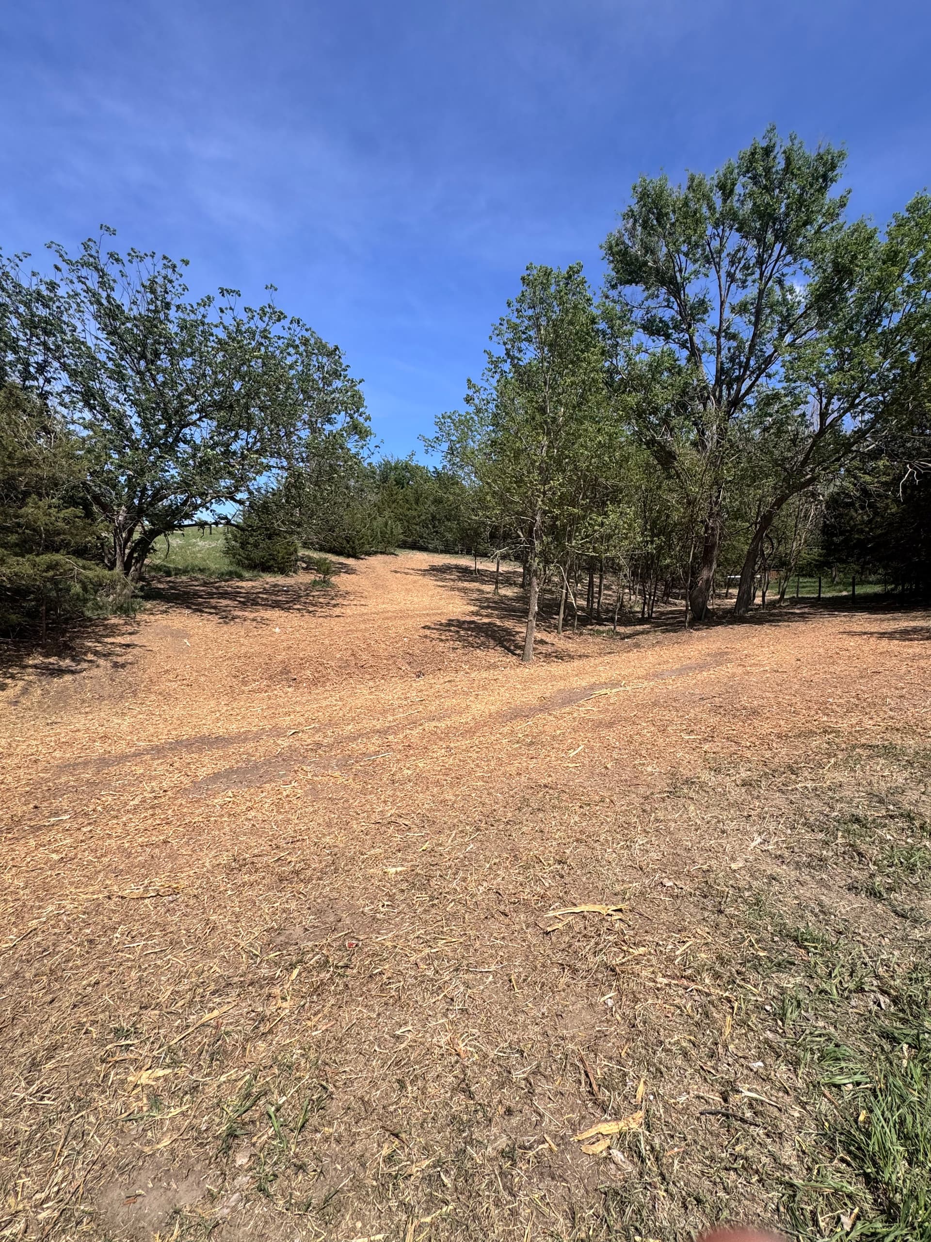 Gallery photos for Turning Overgrown Acreage Into Usable Space in Kearney NE: Image #3