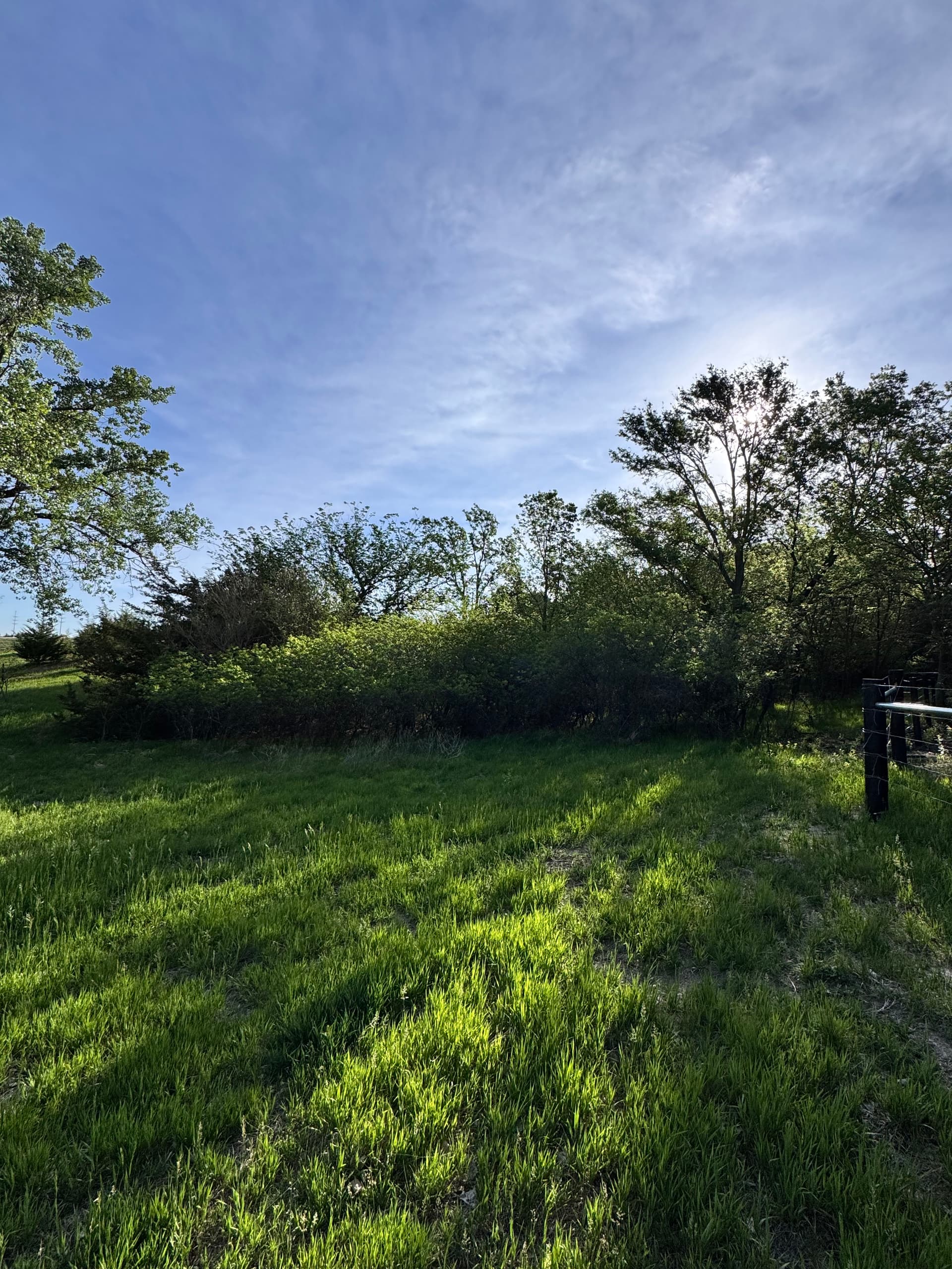 Turning Overgrown Acreage Into Usable Space in Kearney NE image