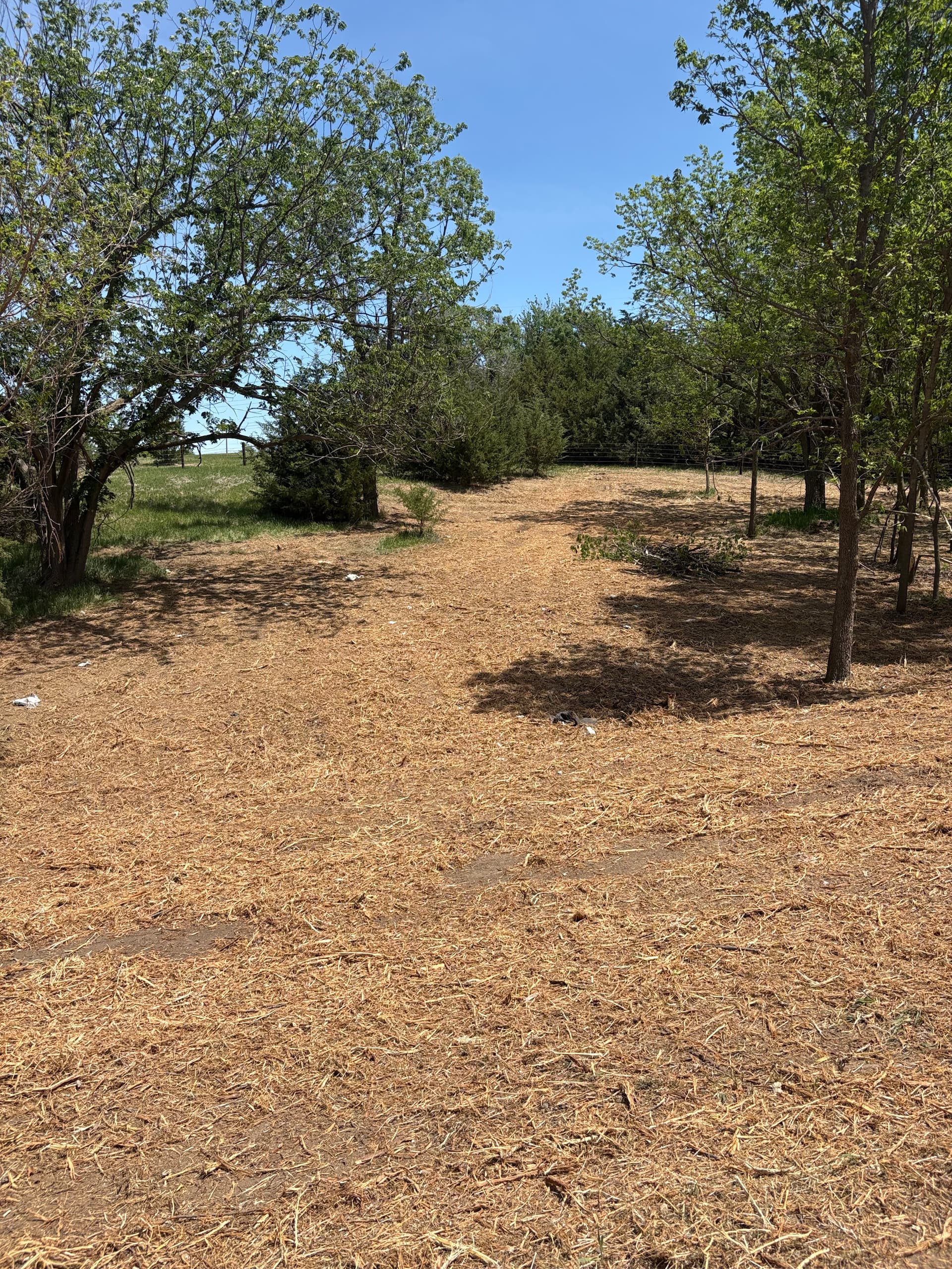 Gallery photos for Turning Overgrown Acreage Into Usable Space in Kearney NE: Image #2
